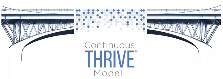 image of a bridge linking association success